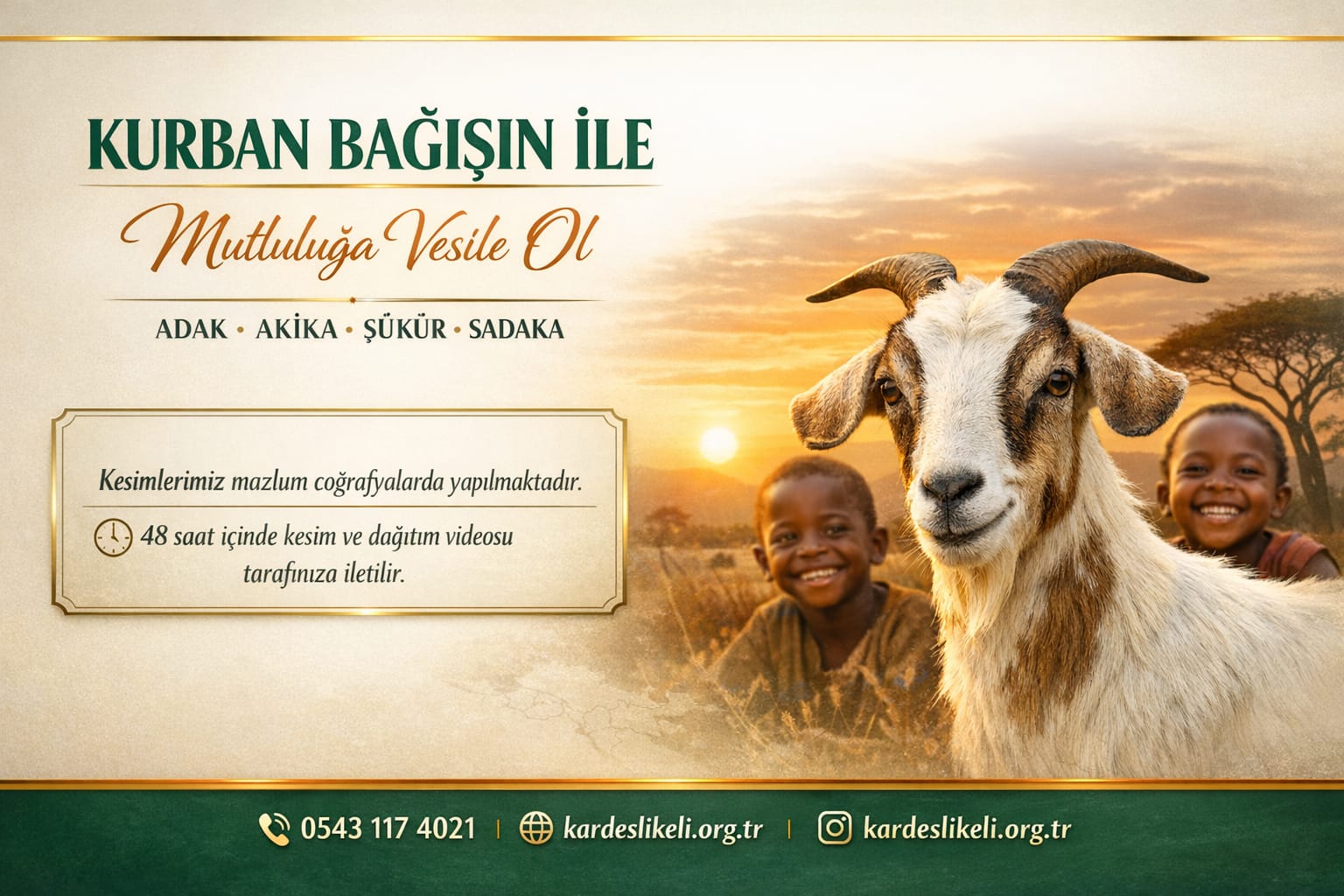 Kurban Bağışı